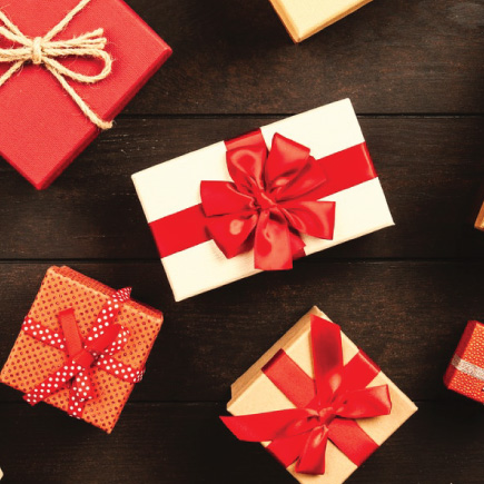 Secret Santa & Holiday Gifts Under $25