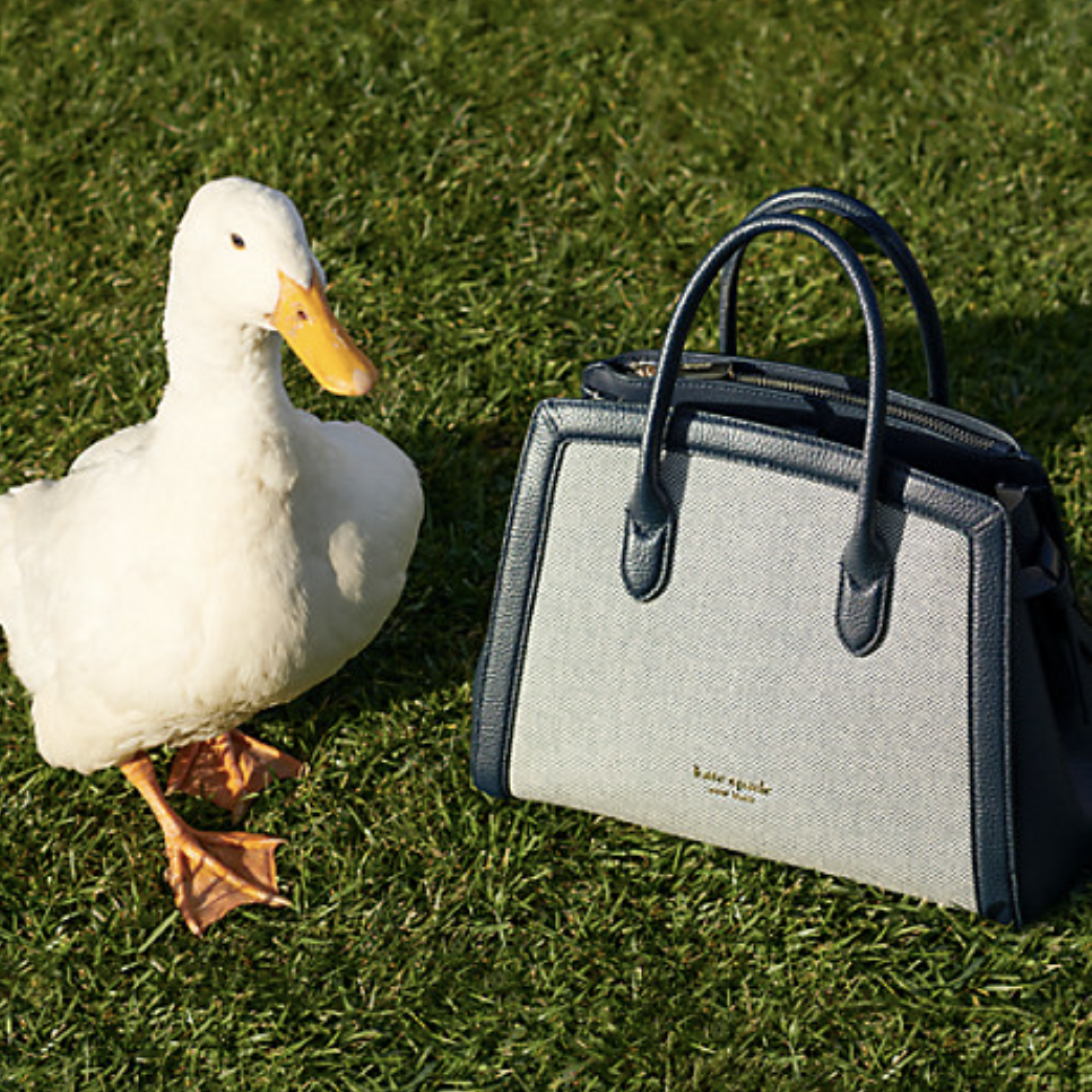 Kate Spade
